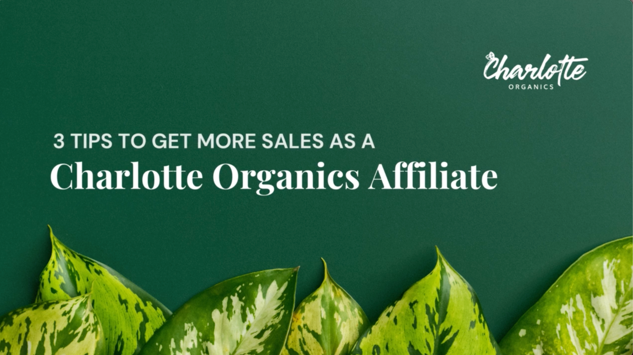 Load video: CHARLOTTE ORGANICS 3 TIPS TO GET SALES AS AFFILIATE